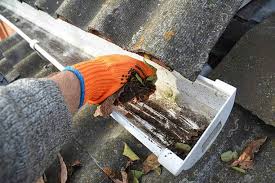 Why Regular Gutter Cleaning in Denver is Crucial for Homeowners